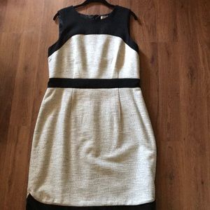 Banana Republic New Sheath Dress
